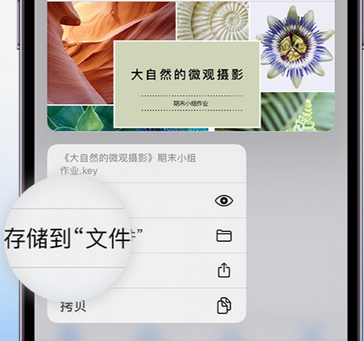 长葛apple维修中心分享iPhone文件应用中存储和找到下载文件