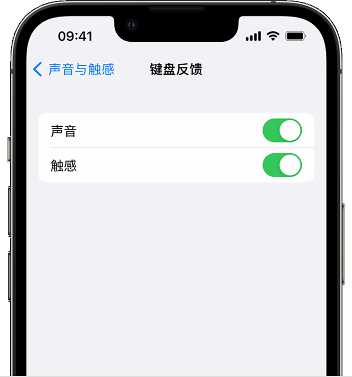 长葛苹果14维修店分享如何在 iPhone 14 机型中使用触感键盘 