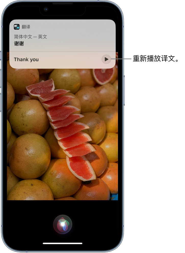 长葛苹果14维修分享 iPhone 14 机型中使用 Siri：了解 Siri 能帮你做什么 