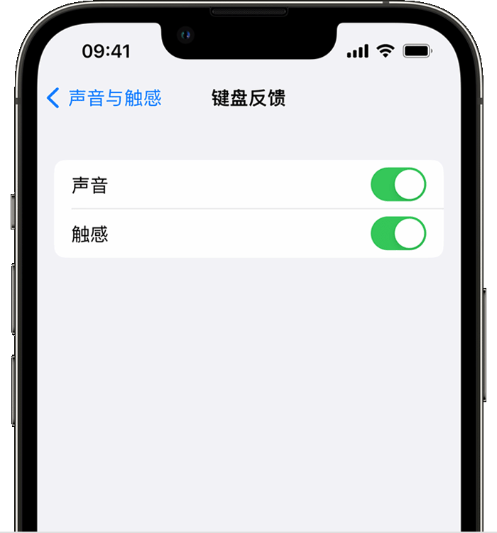 长葛苹果14维修分享iPhone 14 系列机型如何开启键盘声音或触感反馈 