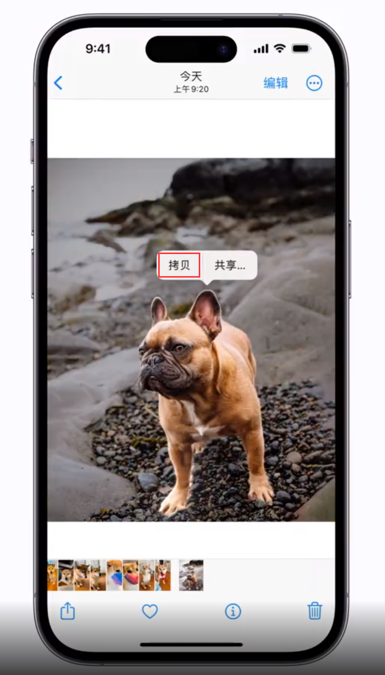 长葛苹果手机维修分享 iOS 16 自带一键抠图功能 