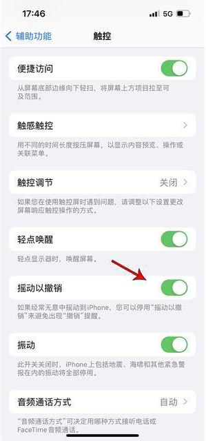 长葛苹果手机维修分享iPhone手机如何设置摇一摇删除文字 