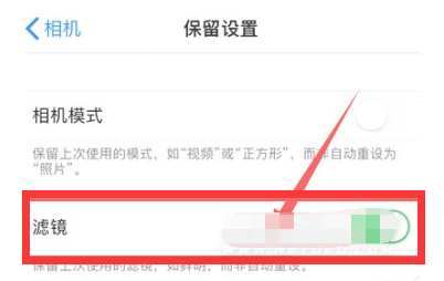 长葛苹果13维修分享iPhone13拍照有绿点是怎么回事 