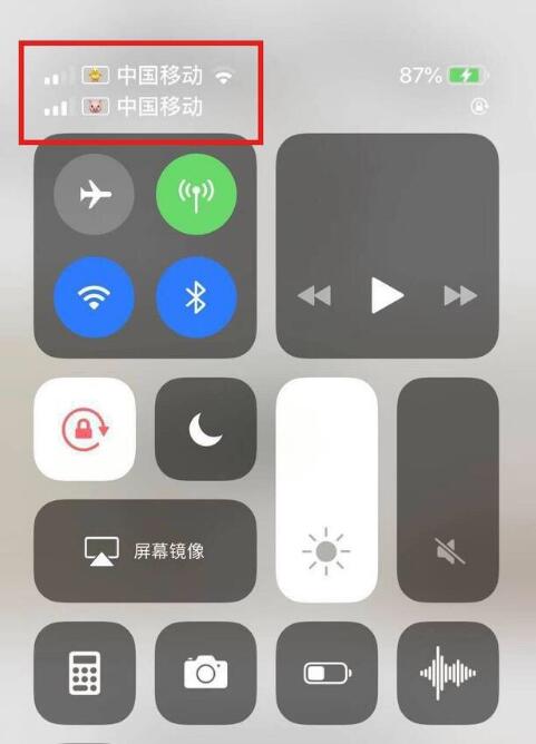 长葛苹果手机维修分享为 iPhone 12 双卡设置标签 
