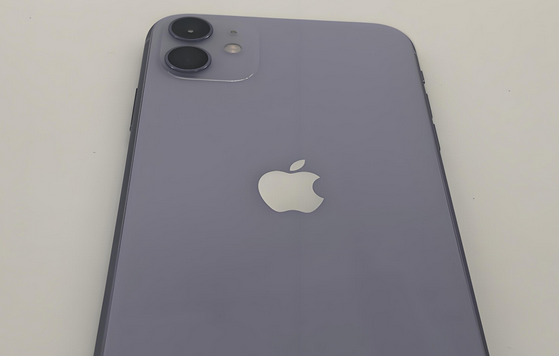 长葛苹果11系统维修分享iPhone11手机系统崩溃无法开机如何解决 